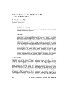 STRUCTURE-FUNCTION RELATIONSHIPS IN