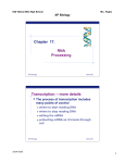 Chapter 17. RNA Processing Transcription -