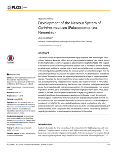 Development of the Nervous System of Carinina ochracea