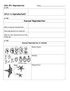 What is reproduction? Asexual Reproduction