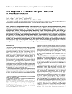 ATR Regulates a G2-Phase Cell-Cycle Checkpoint