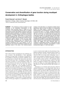 Conservation and diversification of gene function during mouthpart