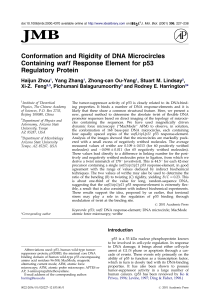 Conformation and Rigidity of DNA Microcircles Containing waf1