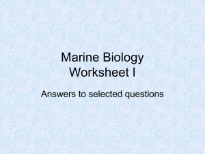 Marine Biology Worksheet I