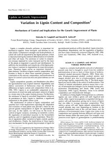 Variation in Lignin Content and Composition