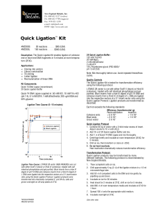 Quick Ligation™ Kit
