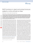 NLR functions in plant and animal immune systems: so far and yet