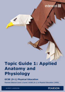 Topic Guide 1: Applied Anatomy and Physiology - Edexcel