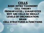 BASIC INTRO TAXONOMY CELL THEORY PROKARYOTES