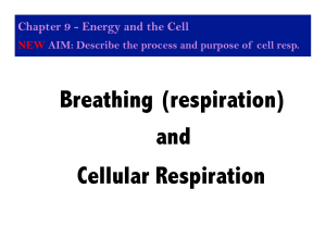 Breathing (respiration) and Cellular Respiration