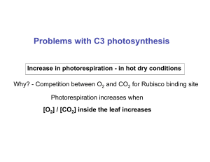 Problems with C3 photosynthesis