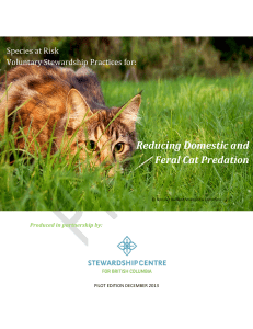 Reducing Domestic and Feral Cat Predation