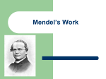 Mendel`s Work - Riverdale Middle School