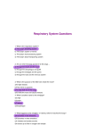 Respiratory System Questions