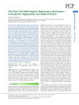 The Plant Cell Wall Integrity Maintenance