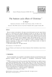 The business cycle effects of Christmas