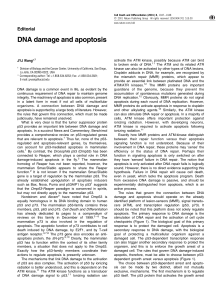 DNA damage and apoptosis