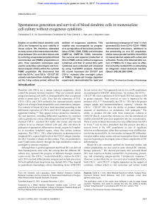 Spontaneous generation and survival of blood