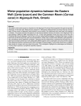 Winter population dynamics between the Eastern