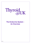 The Endocrine System - An Overview