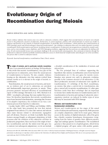 Evolutionary Origin of Recombination during Meiosis