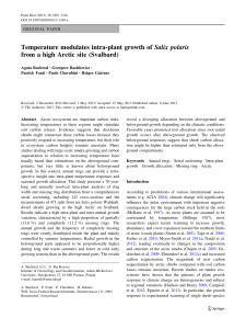 Temperature modulates intra-plant growth ofSalix polarisfrom a high