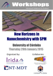 New Horizons in Nanochemistry with SPM