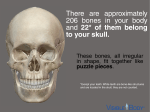 There are approximately 206 bones in your body and 22* of them