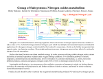 Group of Subsystems: Nitrogen oxides metabolism