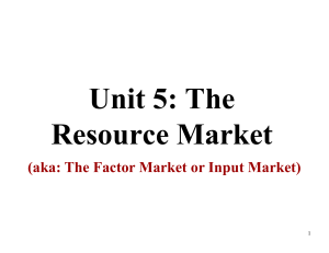 Unit 5: The Resource Market