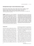 Developmental origin of shark electrosensory organs