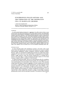 synchronous pollen mitosis and the formation of the generative cell