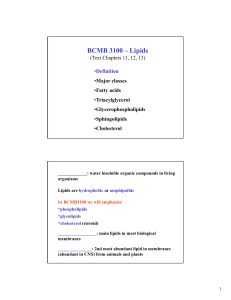 BCMB 3100 – Lipids