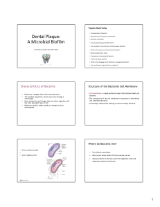 Dental Plaque: A Microbial Biofilm