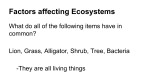 Factors affecting Ecosystems