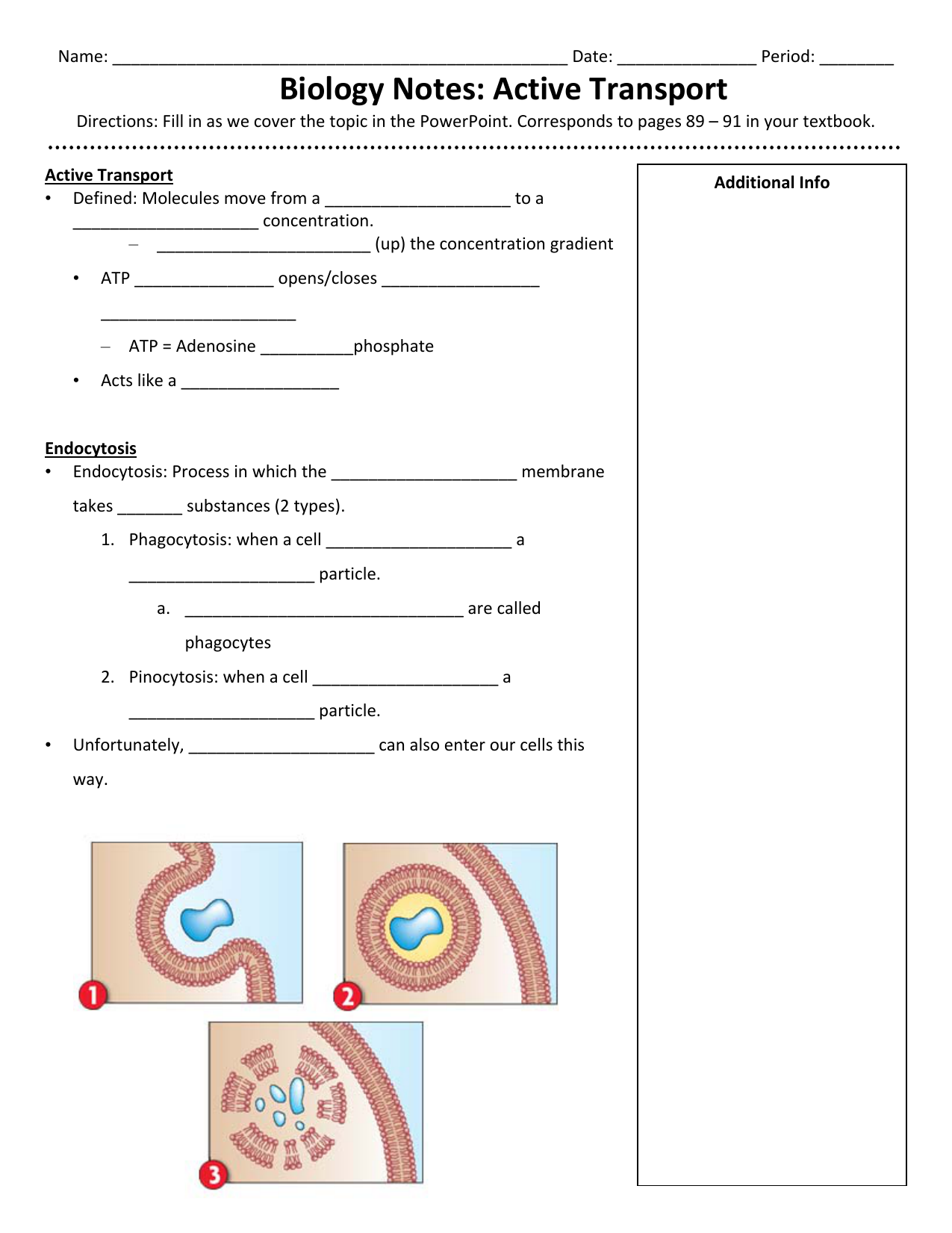 Biology Notes: Active Transport Regarding Passive And Active Transport Worksheet