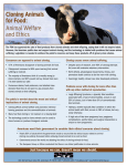 Cloning Animals for Food: Animal Welfare and Ethics