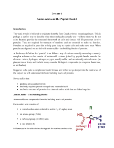 Lecture 1 Amino acids and the Peptide Bond-I