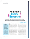 The Brain`s Dark Energy
