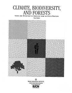Climate, biodiversity, and forests : issues and opportunities