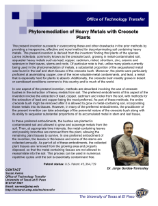 Phytoremediation of Heavy Metals with Creosote Plants