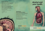 Alcohol and health (DAO00101) - 6pp DL