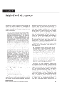 Bright-Field Microscopy