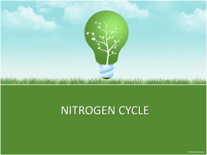 nitrogen cycle - dsapresents.o