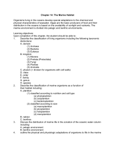 C:\Users\mhill\Documents\MS20\lEARNING OBJECTIVES\Thurman