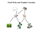 Food Webs and Trophic Cascades