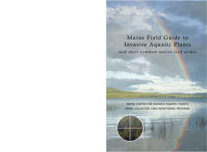 Maine Field Guide to Invasive Aquatic Plants and their common