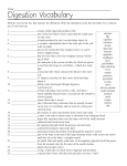 Digestion Vocabulary