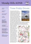 Three Priddy Droves 4.5mls 8km
