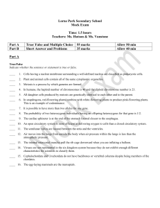 SBI3U0 - Pages